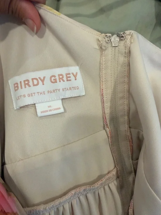 Birdy Grey Soft Blush Ruffle Dress - Picture 4 of 4